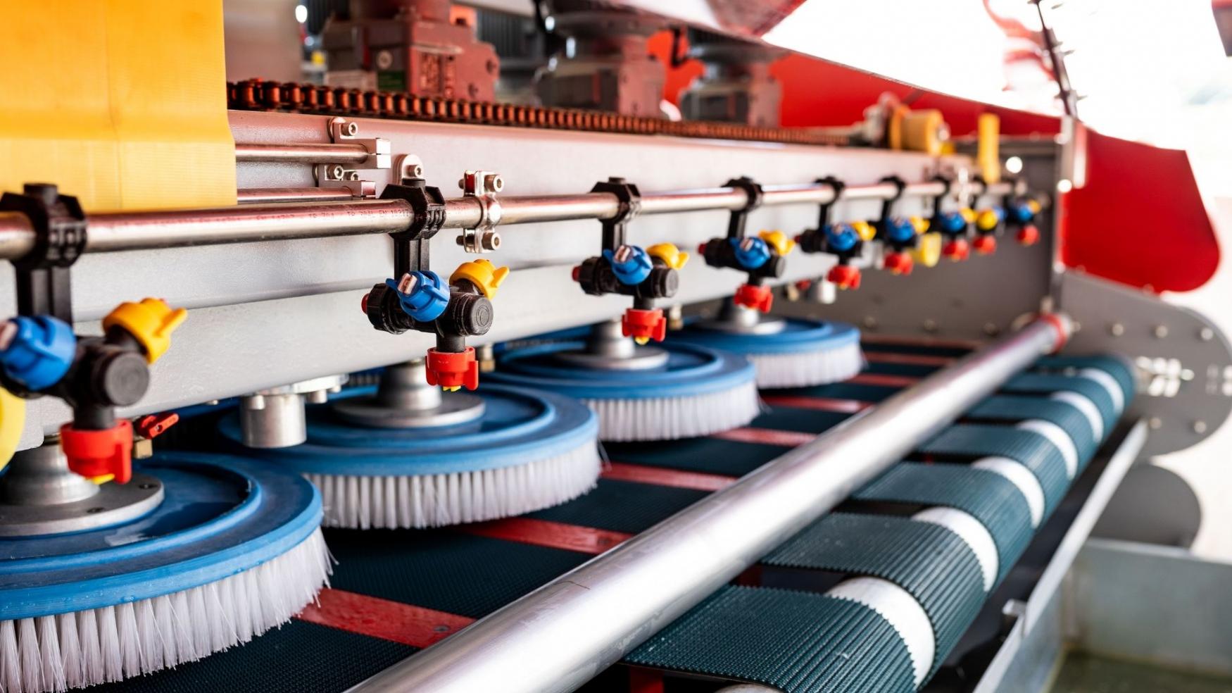 Diyarbakır halı yıkama hizmeti